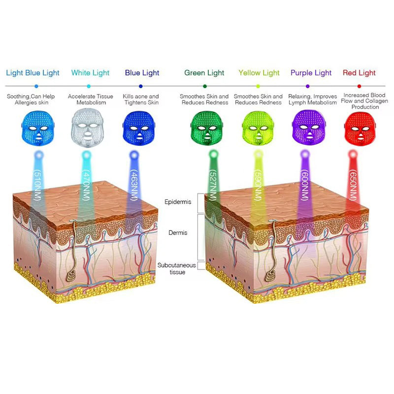 Premium LED Facial and Neck Rejuvenation Machine – Skin Rejuvenation Massager for Anti-Aging, Wrinkle Reduction, and Skin Tightening with Advanced Light Therapy - StrengthXPhysiotherapy