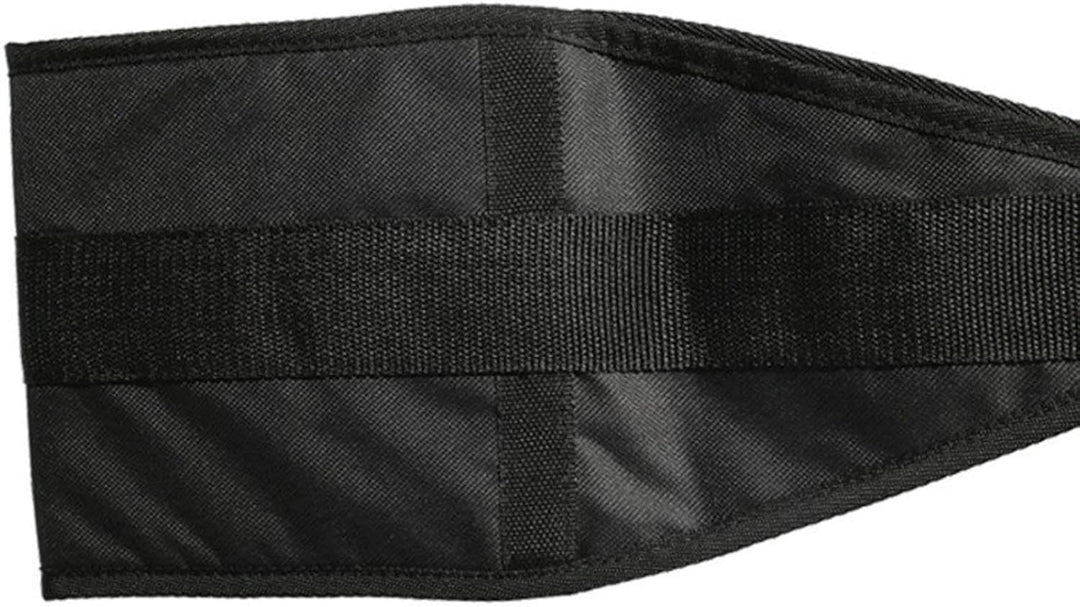 Premium Abdominal Hanging Straps – ABS Training Support for Pull-ups & Core Muscle Workout – Leg Raises, Vertical Crunches, & Sit-ups – Adjustable Nylon Equipment for Fitness - StrengthXPhysiotherapy