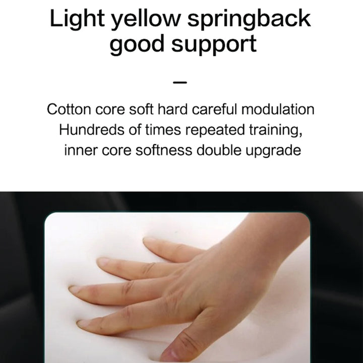 Premium Non-Slip Orthopedic Memory Foam Cushion – Tailbone and Sciatica Pain Relief Seat Cushion for Prostate Comfort, Back Support, and Chair or Car Use - StrengthXPhysiotherapy